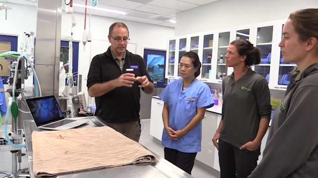 A Historic Surgical Breakthrough